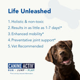 Canine Activ - Larger Breed
