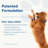 Canine Activ - Larger Breed