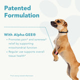 Canine Activ - Smaller Breed