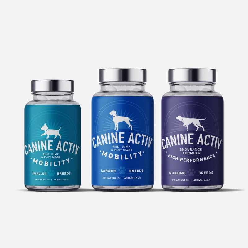 Three bottles of Canine Activ supplements on a light gray background